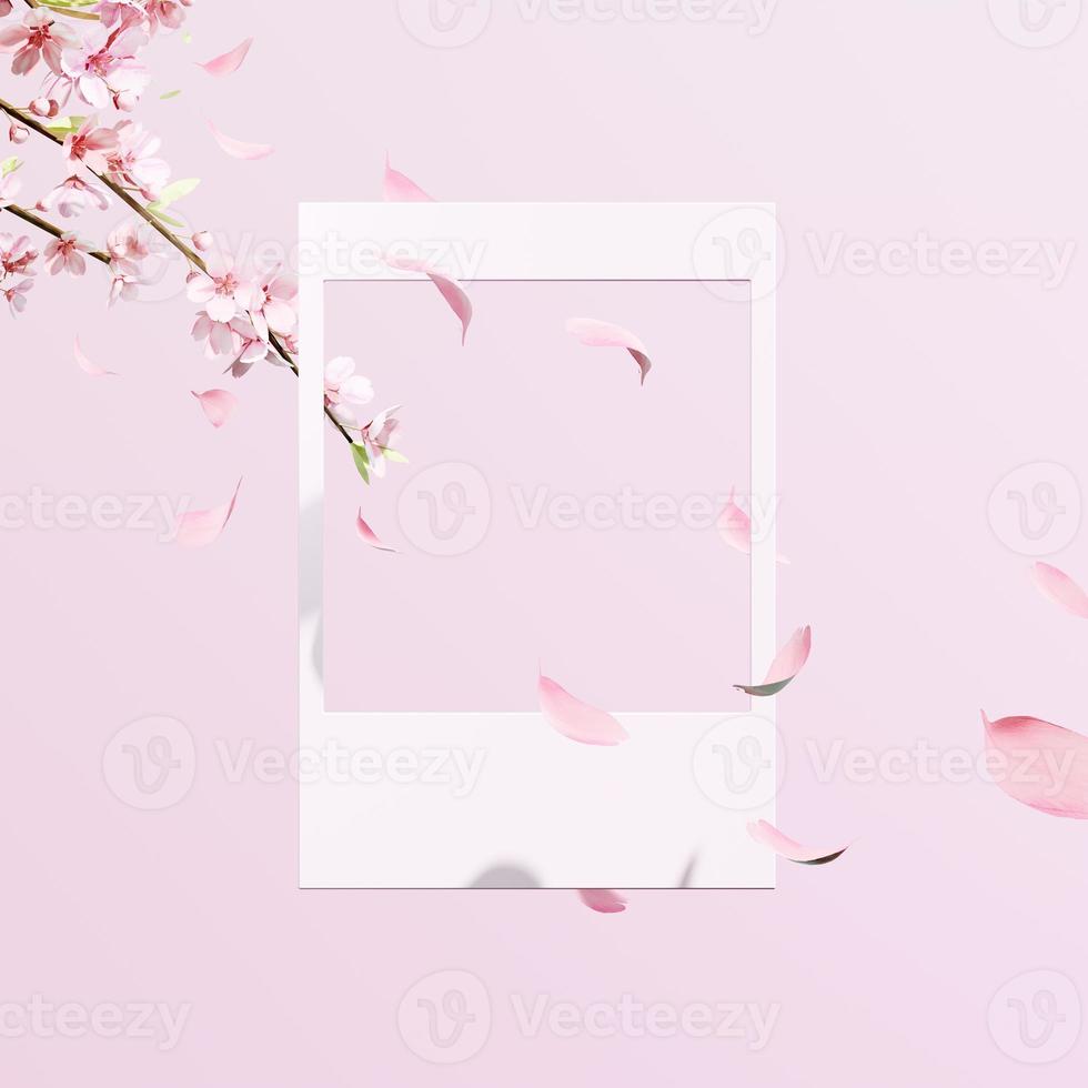 3d rendering Beautiful spring, cherry blossom background with pink background photo