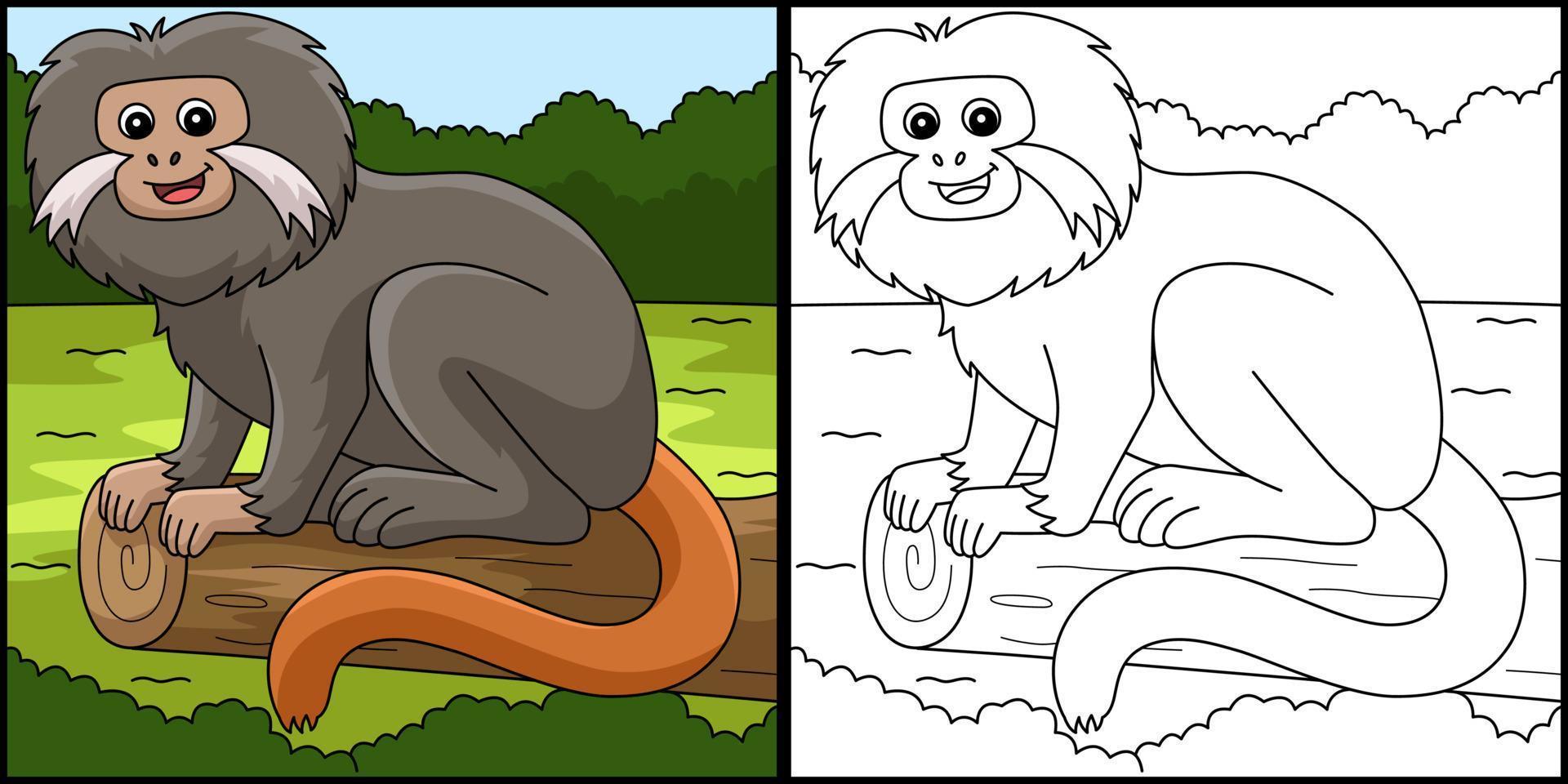 Tamarin Animal Coloring Page Colored Illustration vector