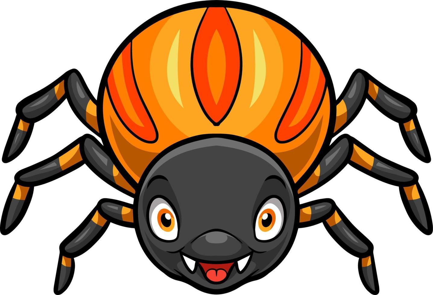 Cartoon cute spider on white background vector
