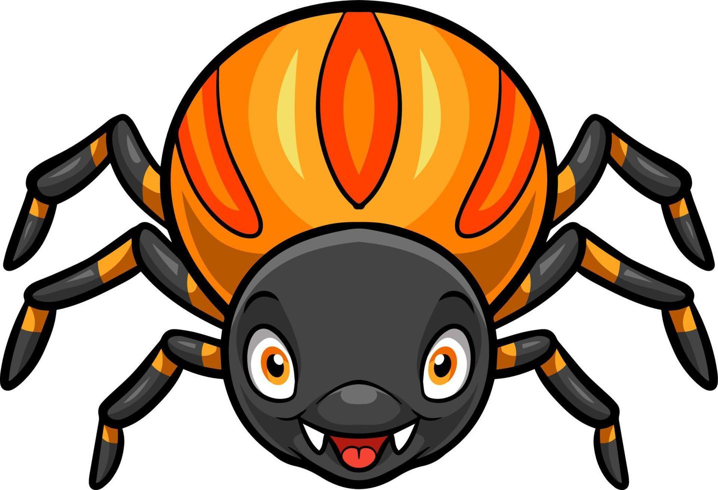 Cartoon cute spider on white background vector