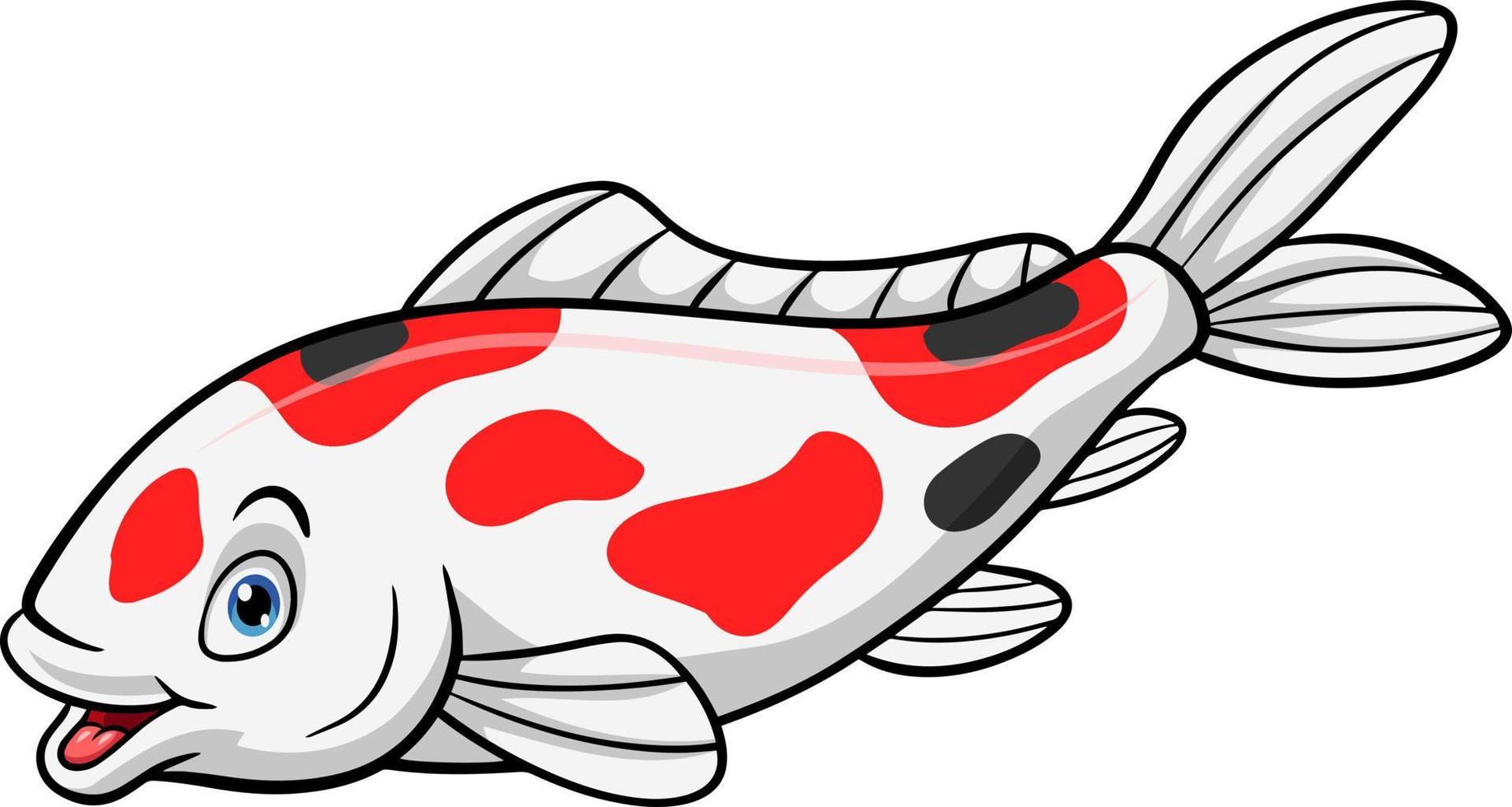 Cartoon koi fish on white background vector