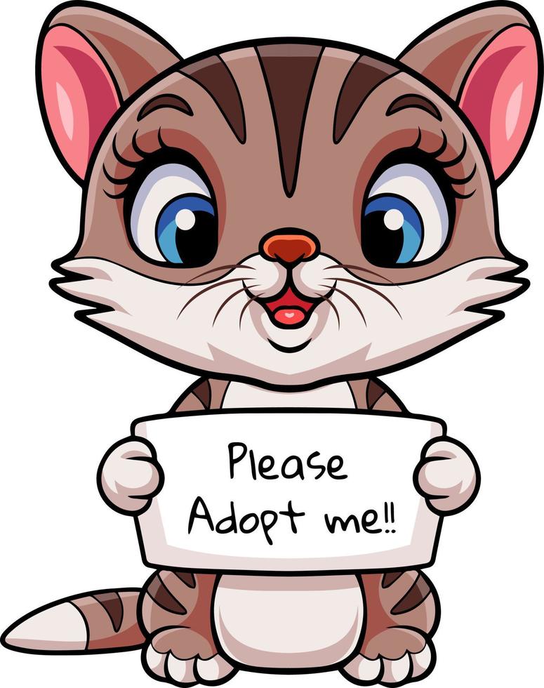 Cute cat cartoon with text banner vector