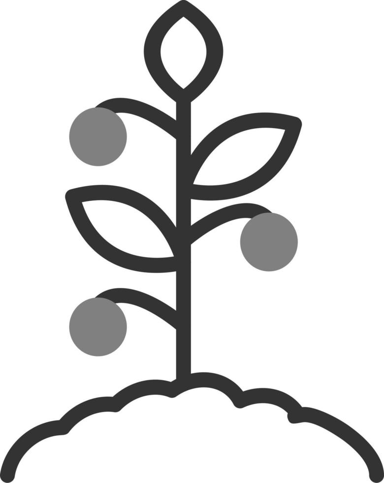 Tomato Vector Icon