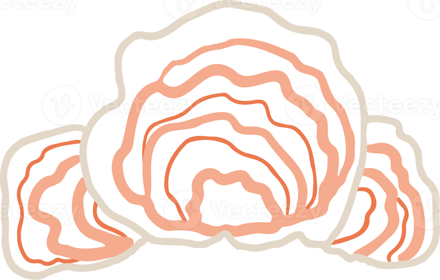 lav eller mossa isolerat png element. skog skog svamp. söt hand dragen biologi och botanisk illustration isolerat på transparent bakgrund. organisk natur växt