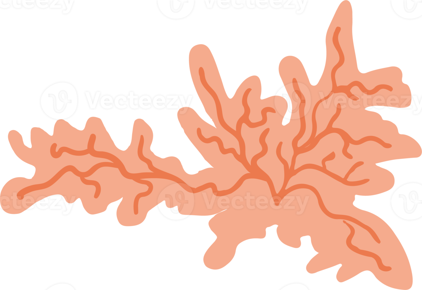 Lichen or moss isolated PNG element. Forest woodland fungus. Cute hand drawn biology and botanical illustration isolated on transparent background. Organic nature plant