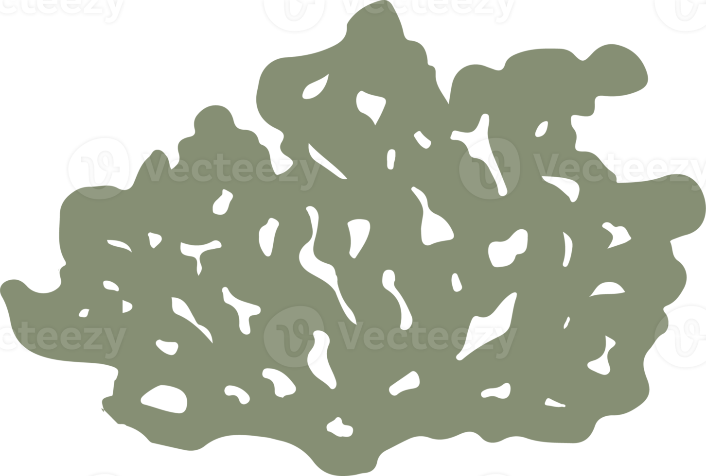 Lichen or moss isolated PNG element. Forest woodland fungus. Cute hand drawn biology and botanical illustration isolated on transparent background. Organic nature plant