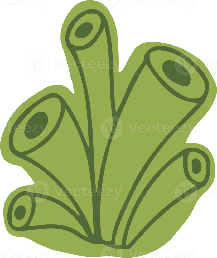 Lichen or moss isolated PNG element. Forest woodland fungus. Cute hand drawn biology and botanical illustration isolated on transparent background. Organic nature plant