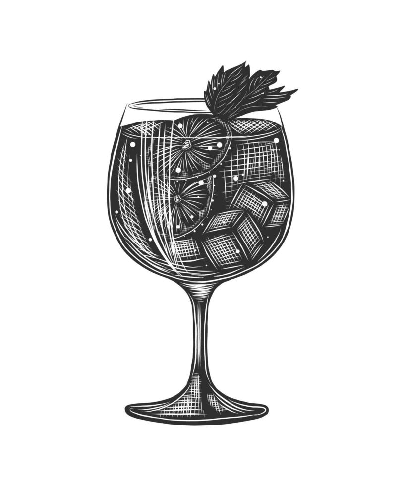Vector engraved style Gin Tonic alcoholic cocktail illustration for posters, decoration, menu and print. Hand drawn sketch of drink or beverage. Detailed drawing isolated on white background.