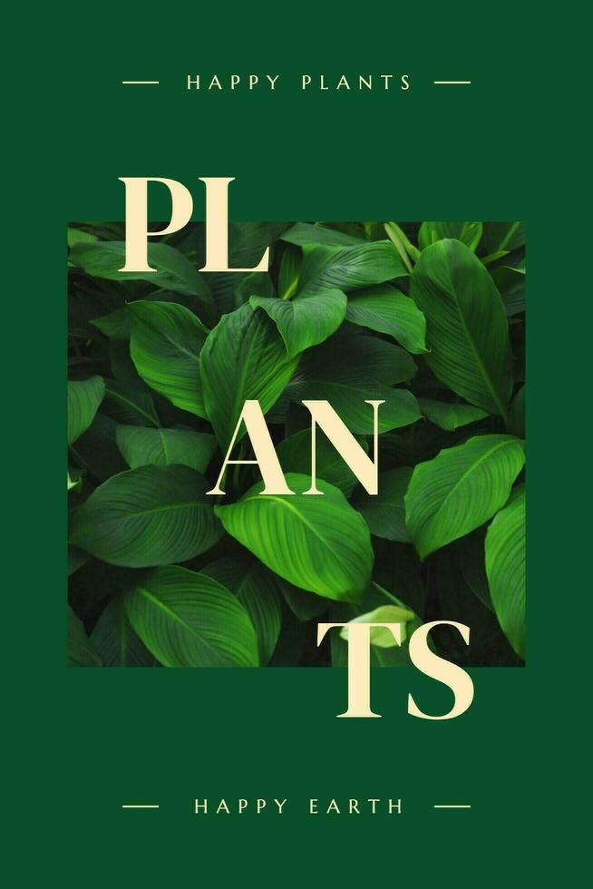 Plants Pinteres graphic template
