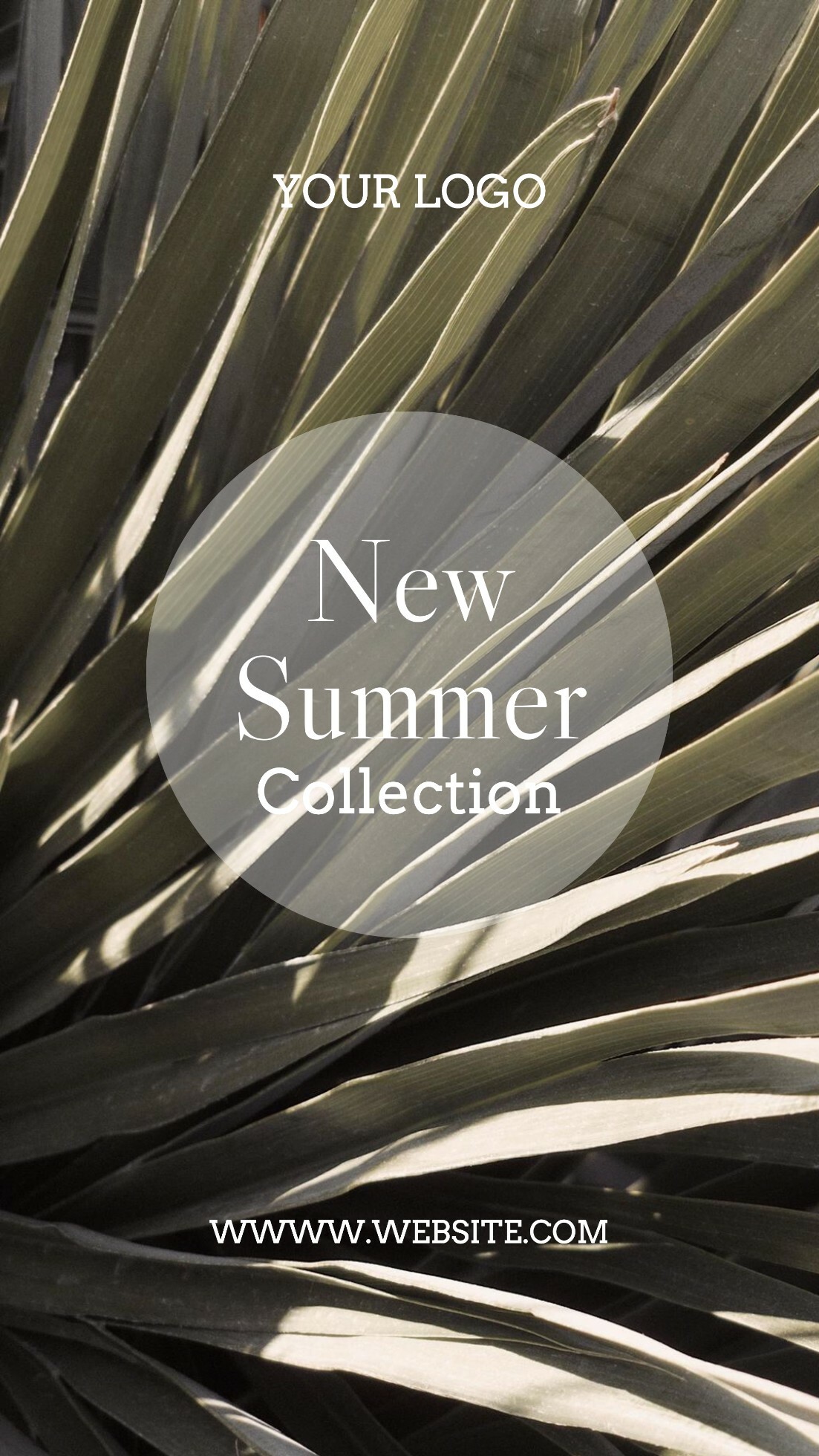 Summer Collection template