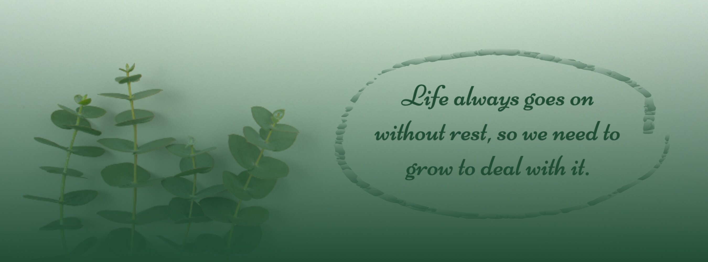 Green Minimalist Life Quote Facebook Cover template