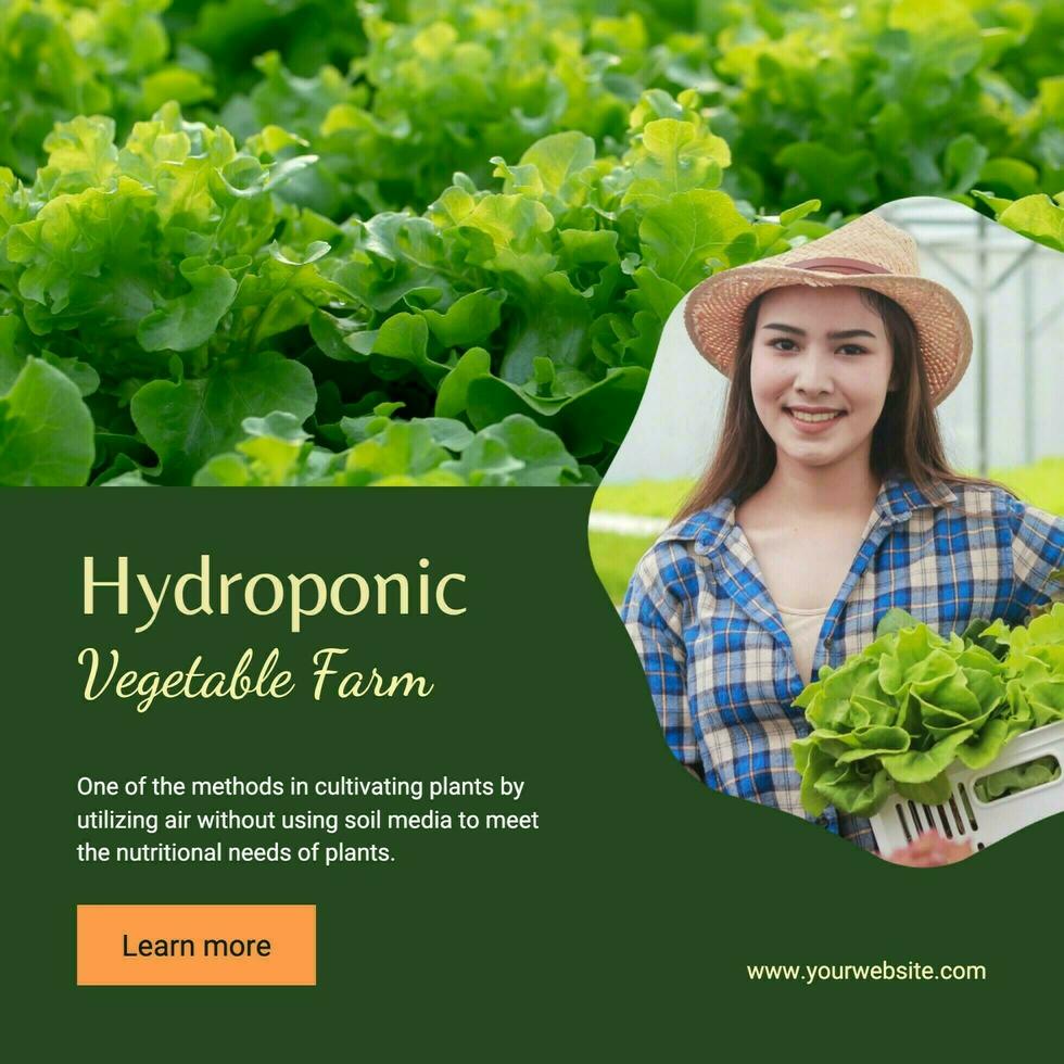 Green Casual Hydroponic Farm Instagram Post template