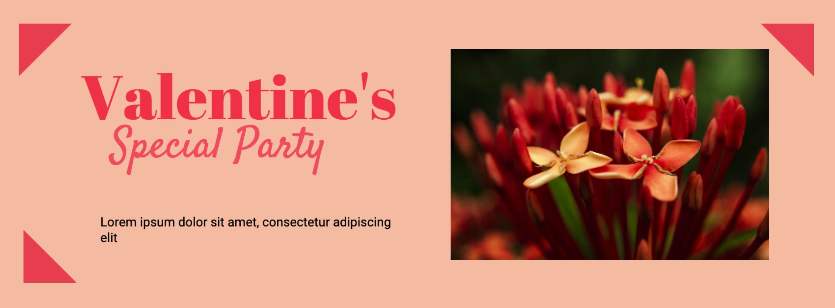 Valentine's Special Party Promo template