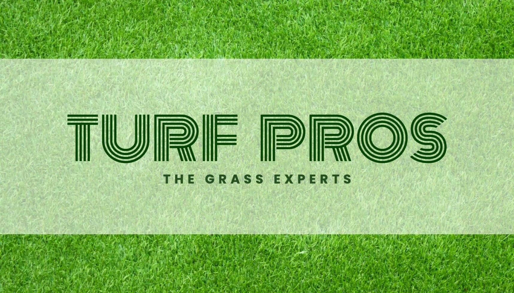 Turf Pros Lawn & Landscaping Business Card Template