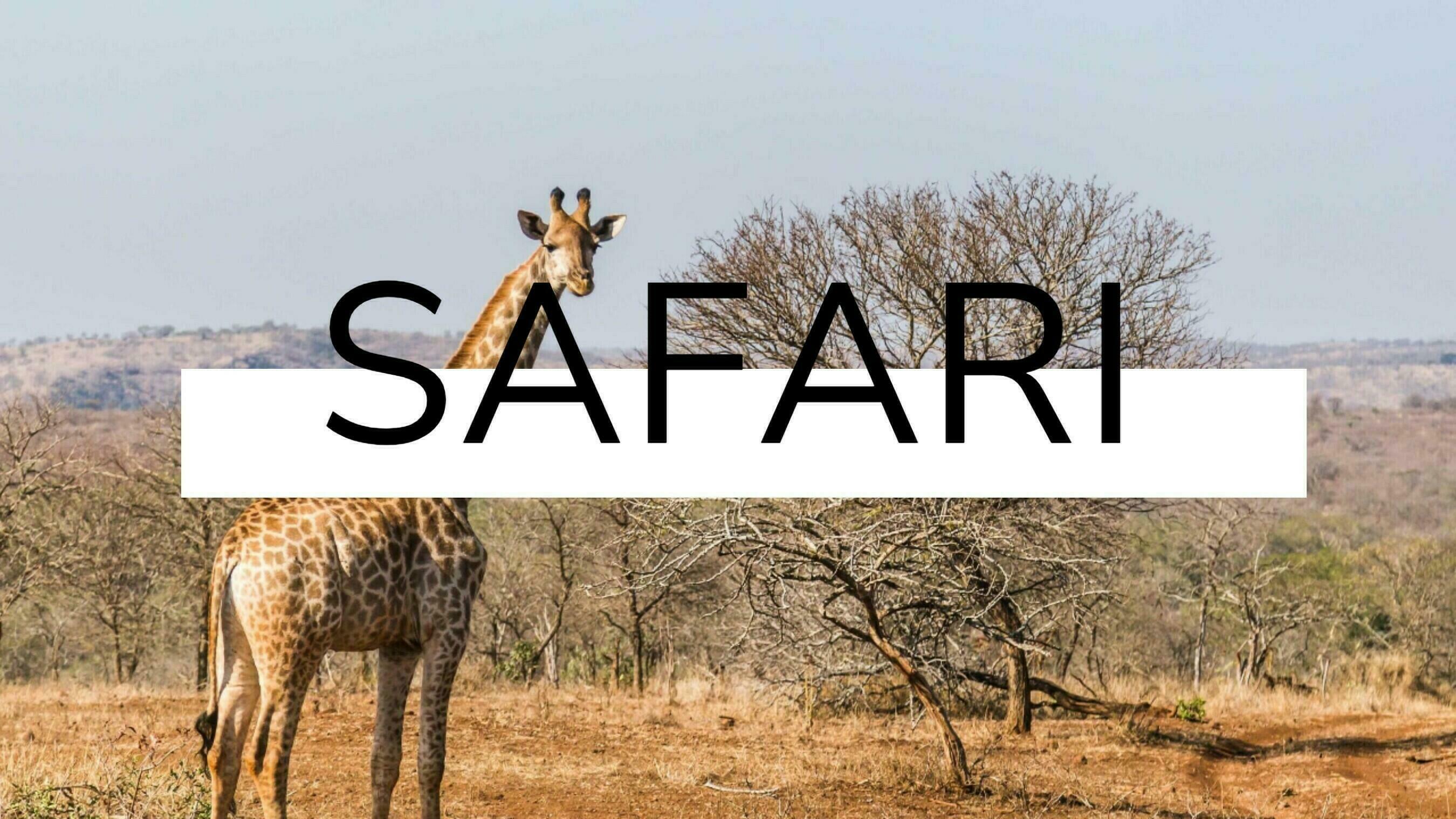 african safari promo code