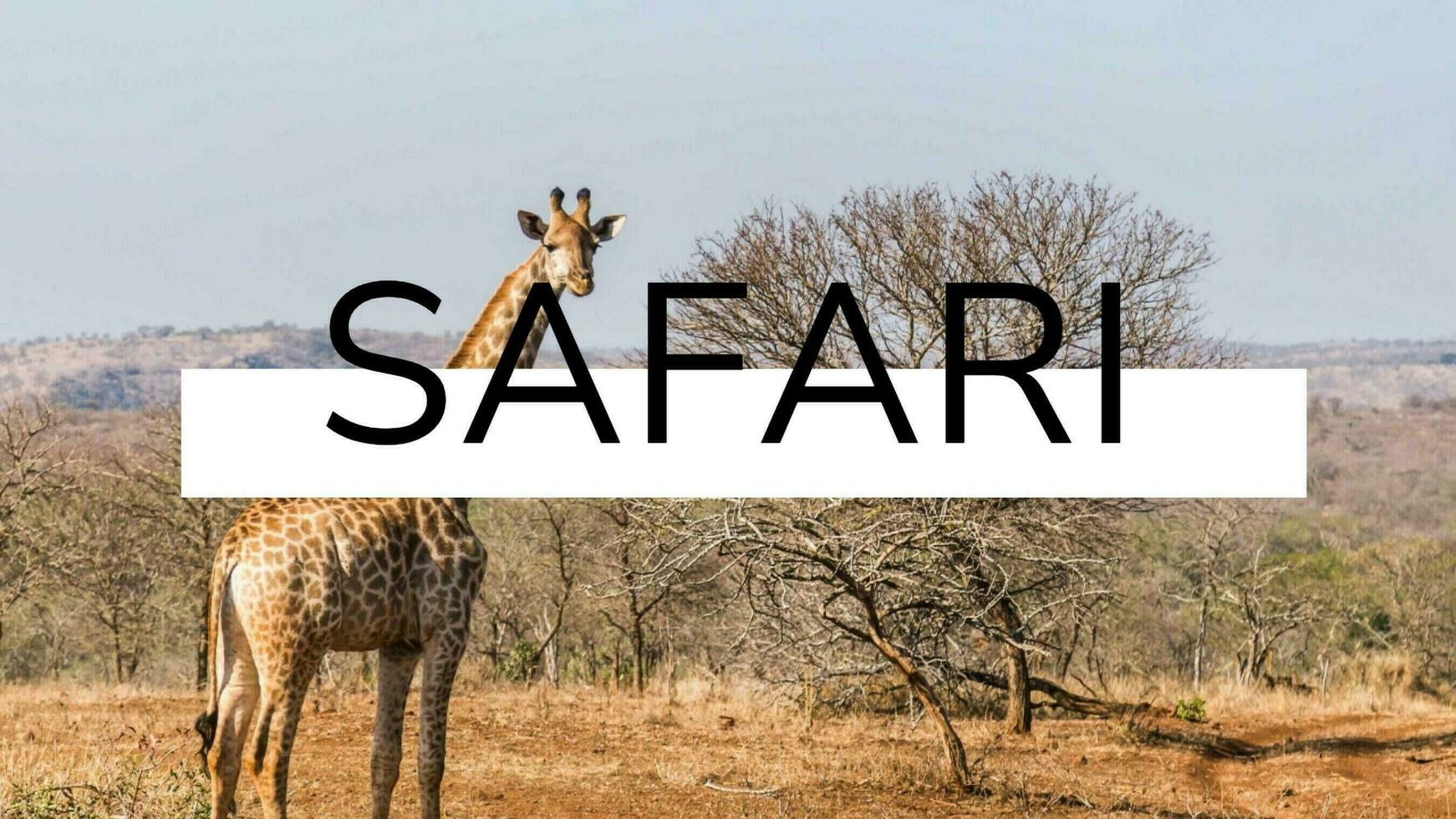 African safari promo template