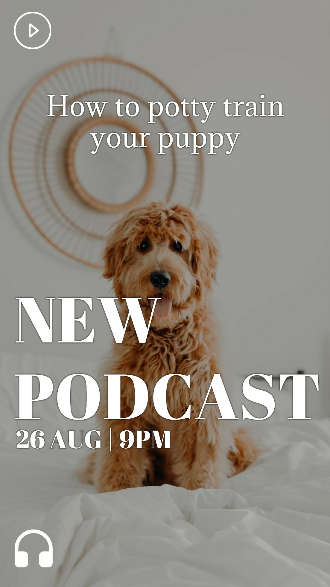 Dog Podcast Promo template