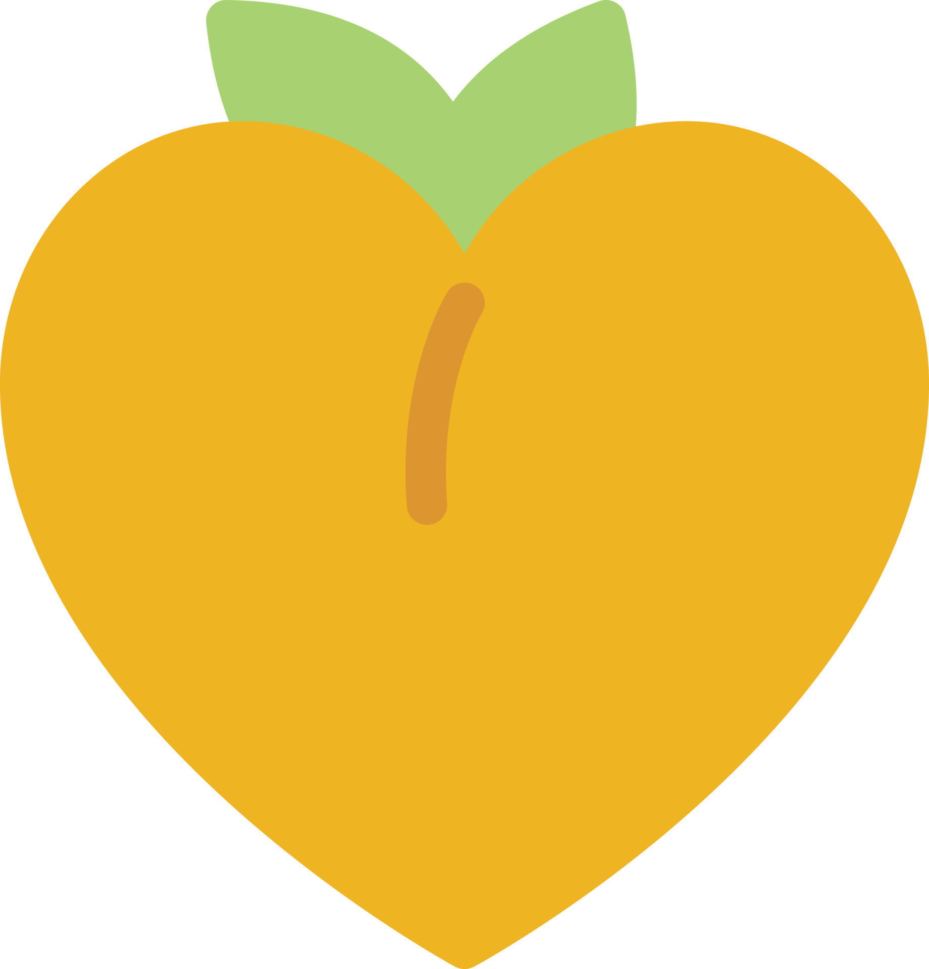 apricot vector illustration on a background.Premium quality symbols