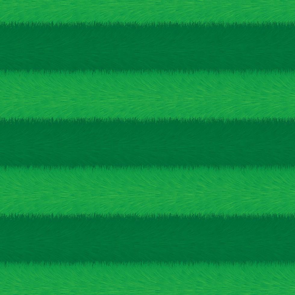 Empty sports arena grass field background vector