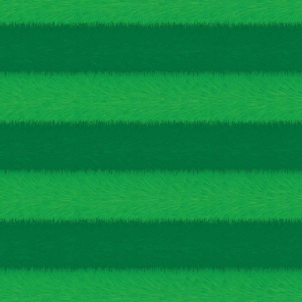 Empty sports arena grass field background vector