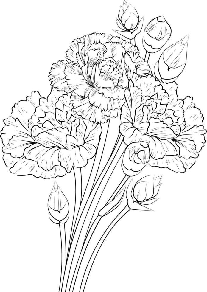 Flower coloring page and books, hand-drawn monochrome vector sketch, carnation flower, Vector floral background with clove-pink, natural leaf collection, illustration pencil art, isolated image.