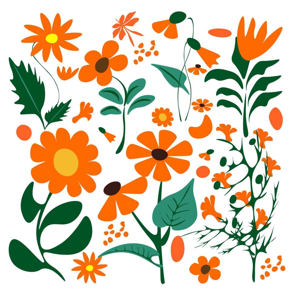 Wildflower colorful ,Retro 70s  80s 90s  botanical design Floral illustration of daisies.Springtime flowers decoration vector plant art.