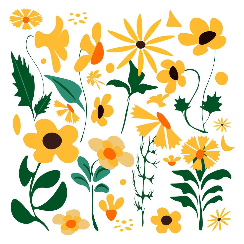 Wildflower colorful ,Retro 70s  80s 90s  botanical design Floral illustration of daisies.Springtime flowers decoration vector plant art.