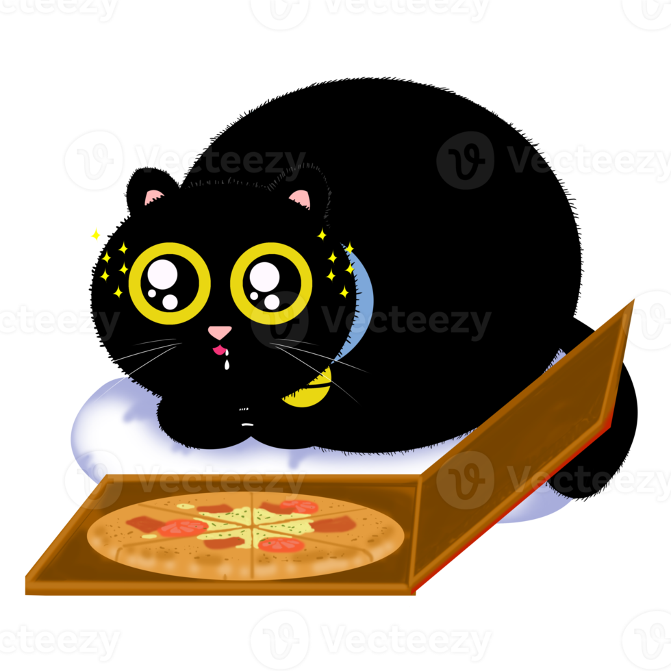 Black Cat Cartoon Characters Design. png