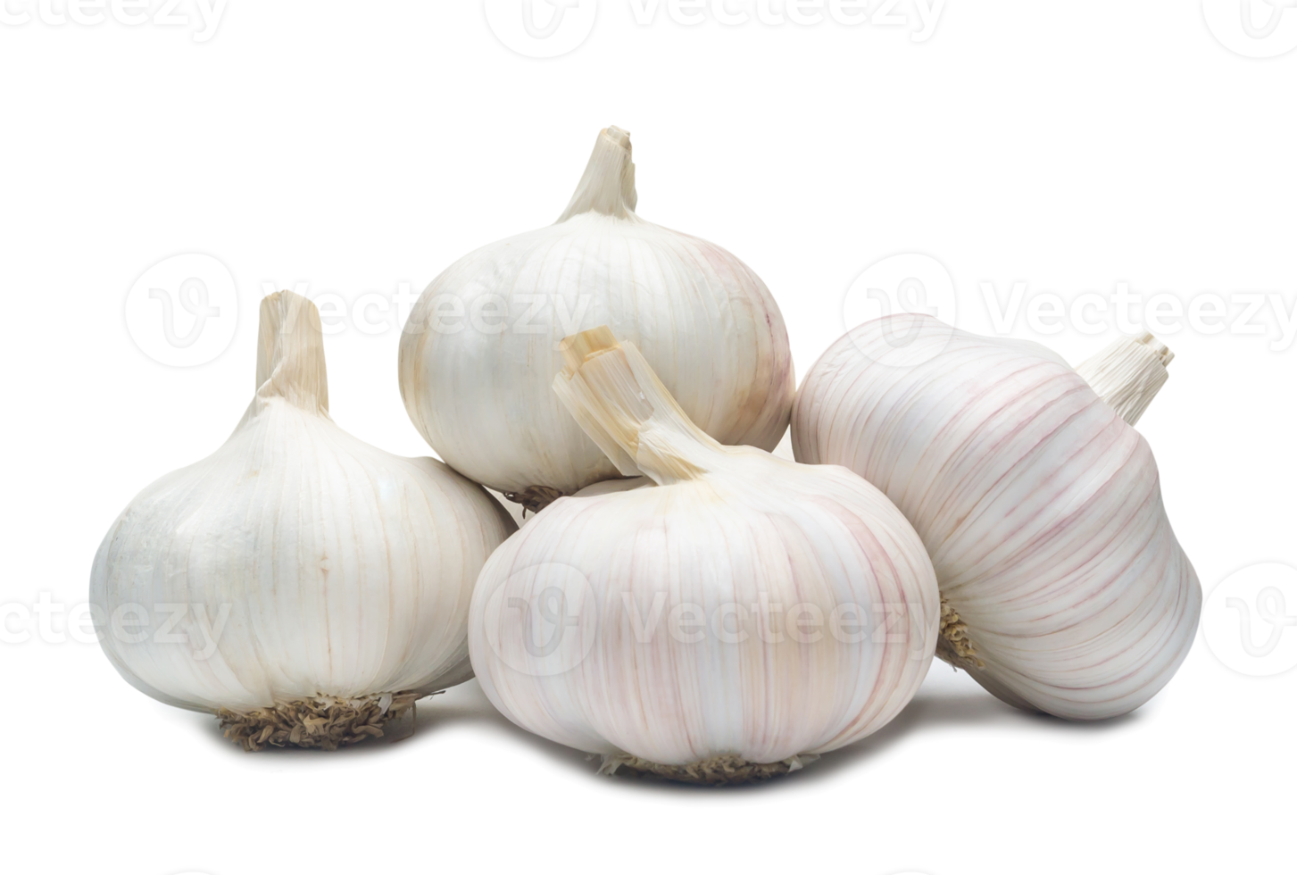 four fresh white garlic bulbs in stack isolated with clipping path and shadow in png file format, Thai herb is great for healing several severe diseases, heart attack, Hyperlipidemia