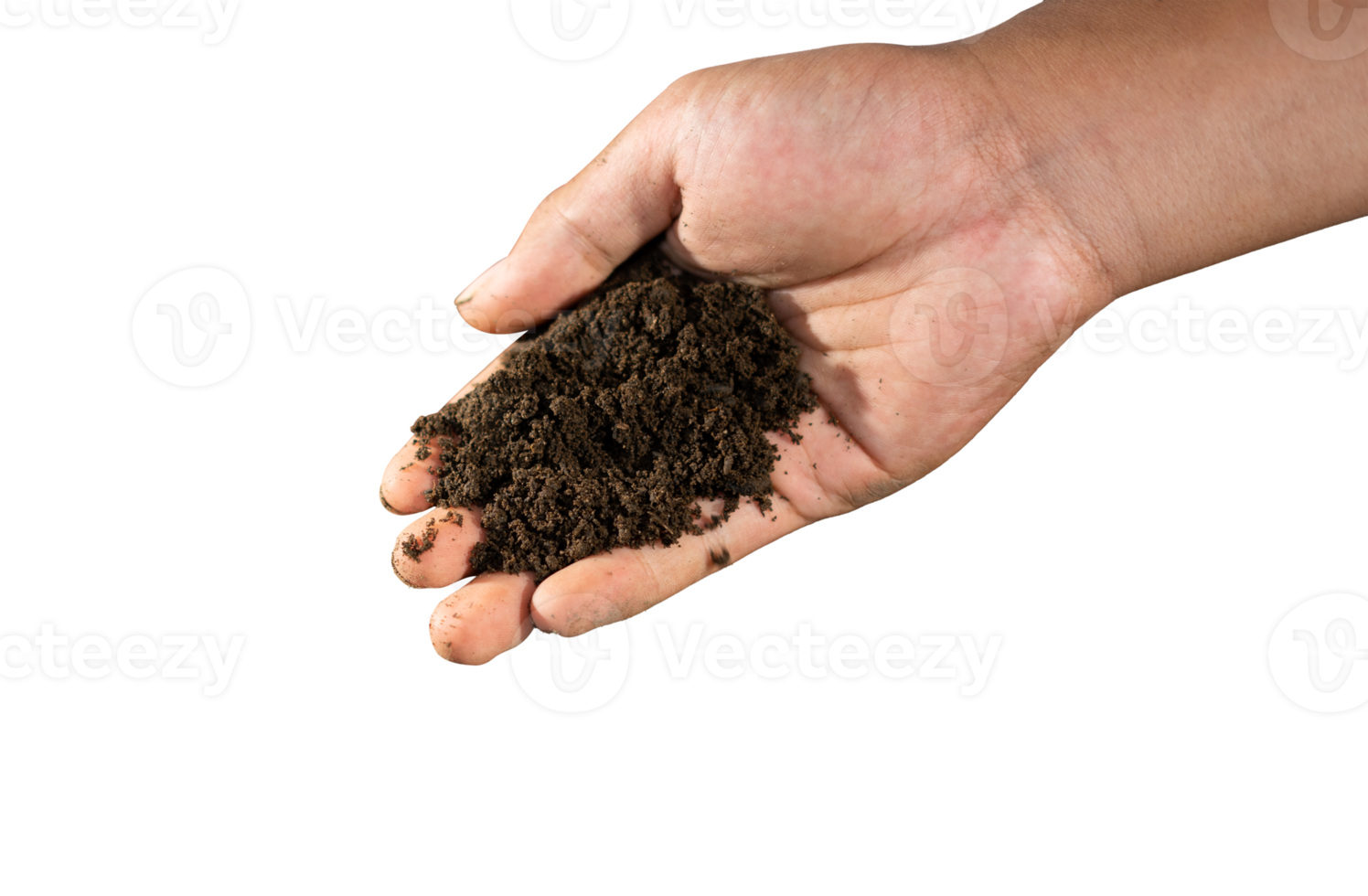 hands holding soil png