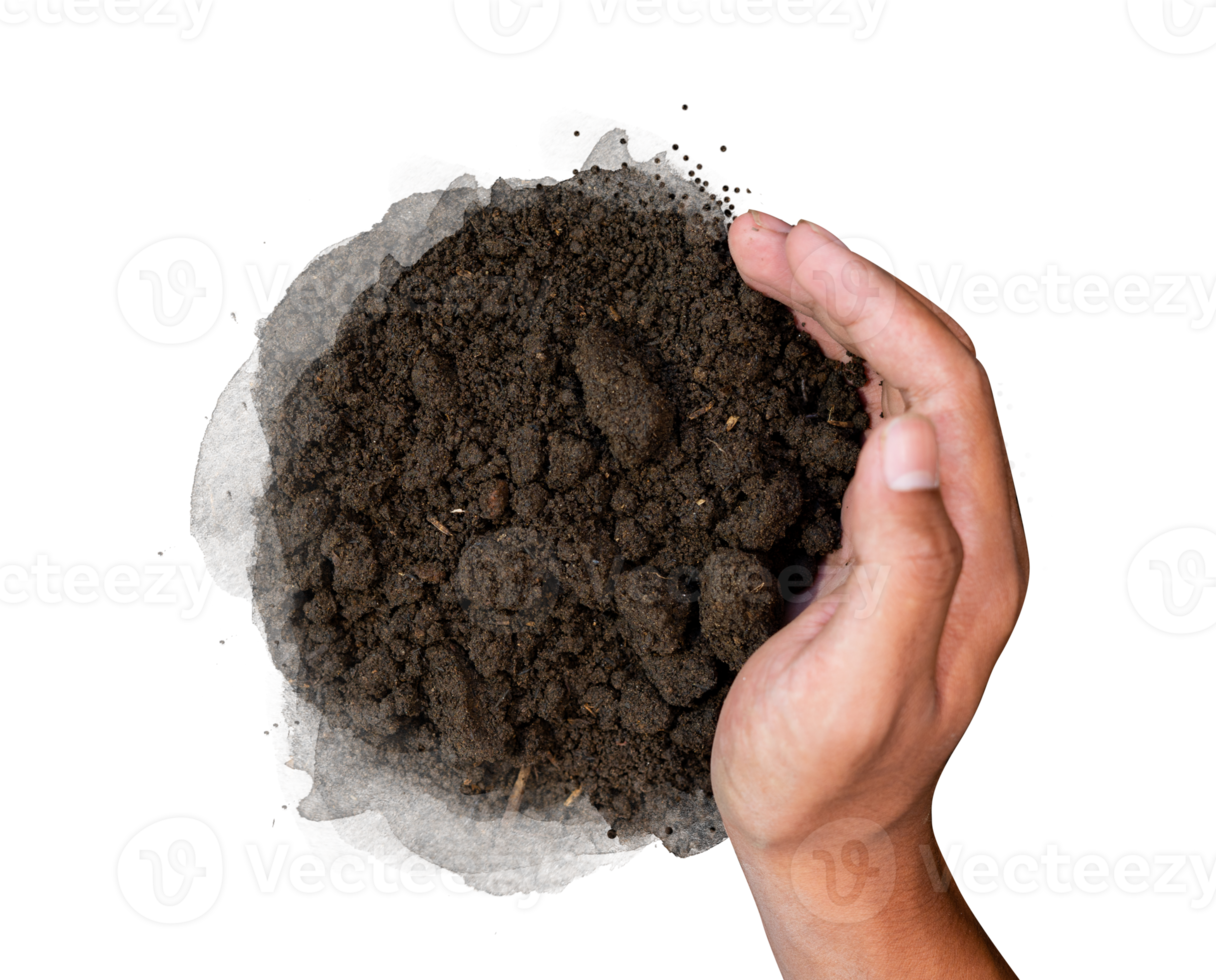 hand holding soil png