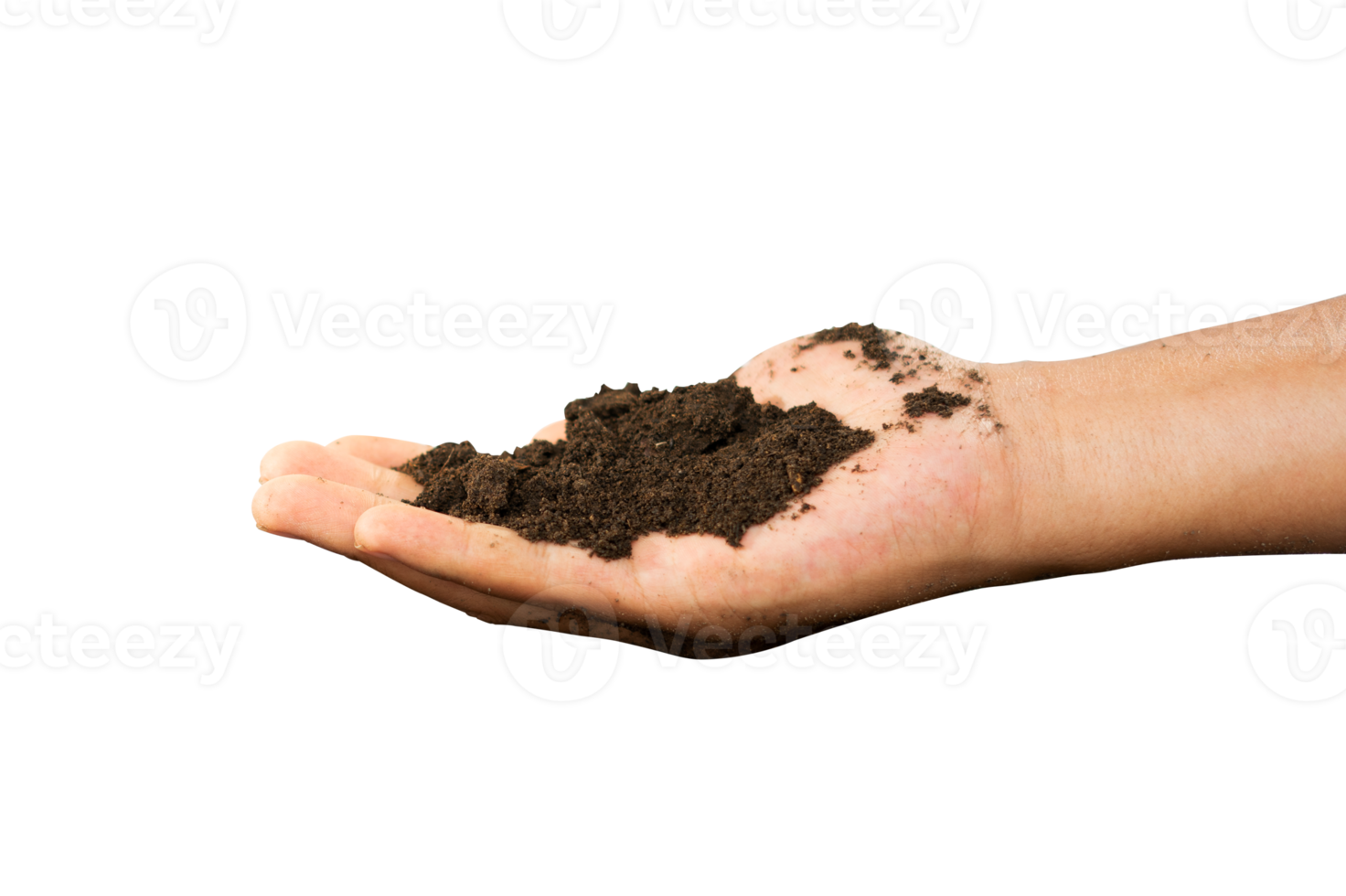 hand holding soil in palm png