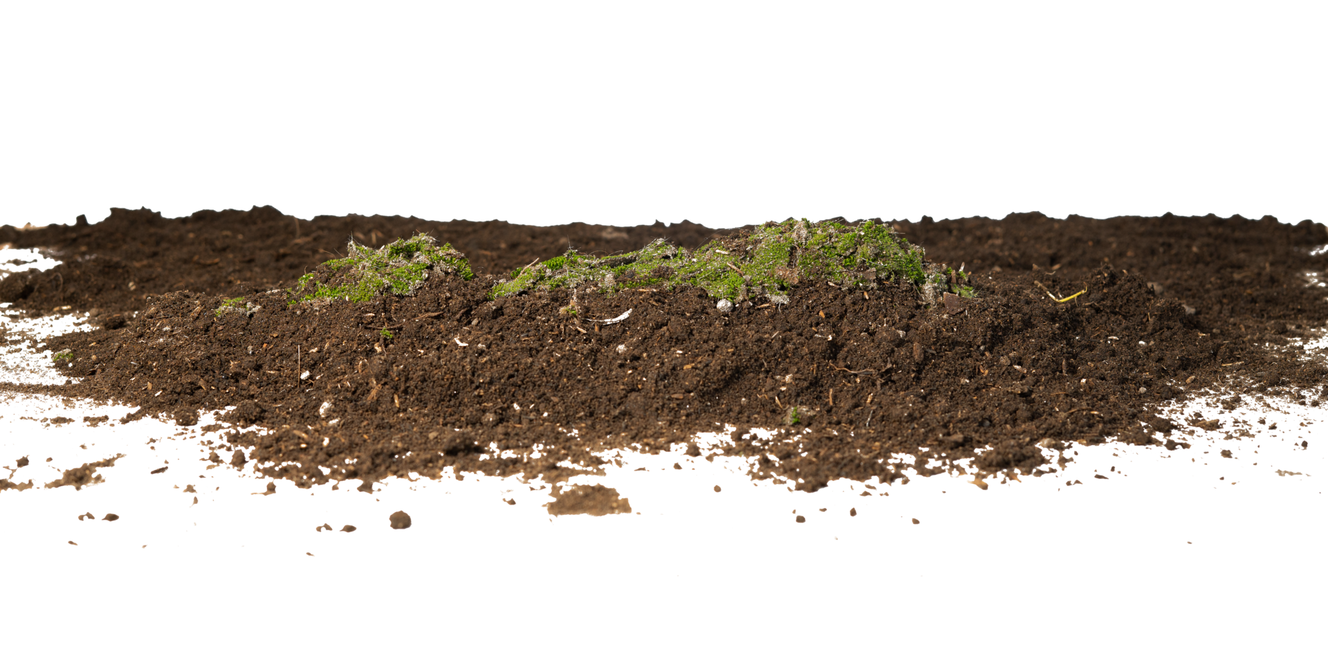 soil with moss isolated 20027583 PNG