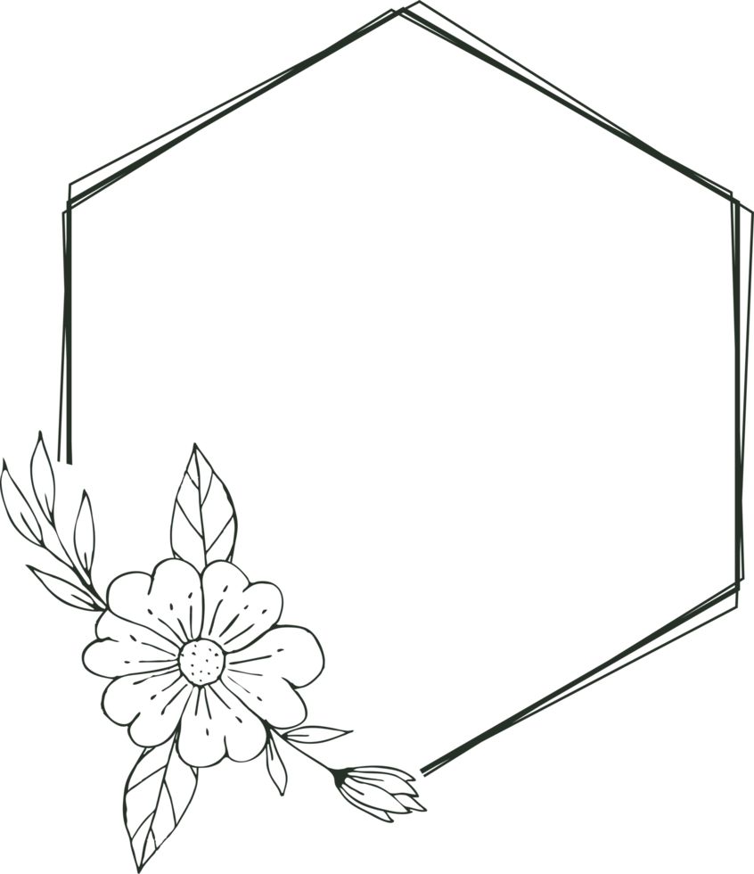 Minimalist floral frame with hand drawn leaf and shape simple floral border png