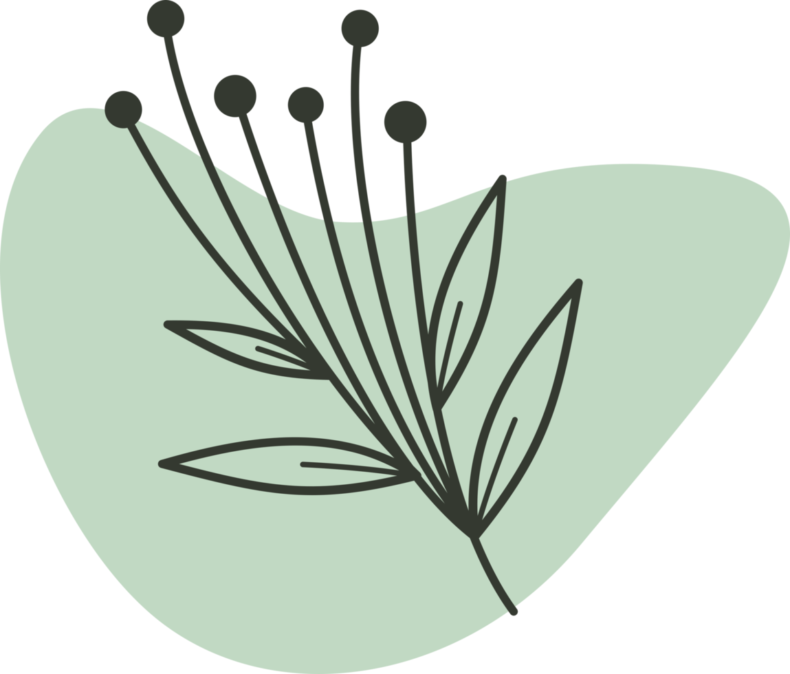 Hand drawn leaf line art with aesthetic shape or aesthetic blob simple decoration png