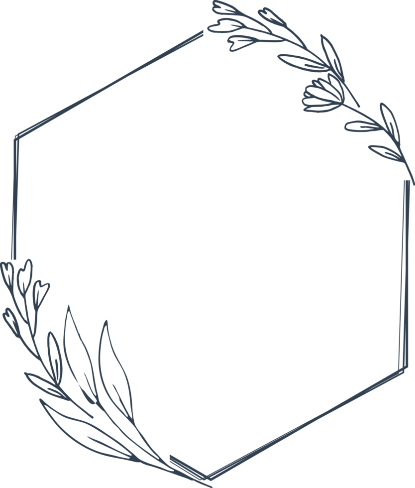 Minimalist floral frame with hand drawn leaf and shape simple floral border png