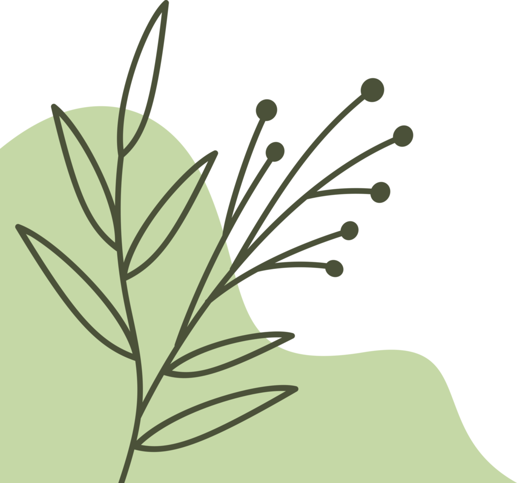 Hand drawn leaf line art with aesthetic shape or aesthetic blob simple decoration png