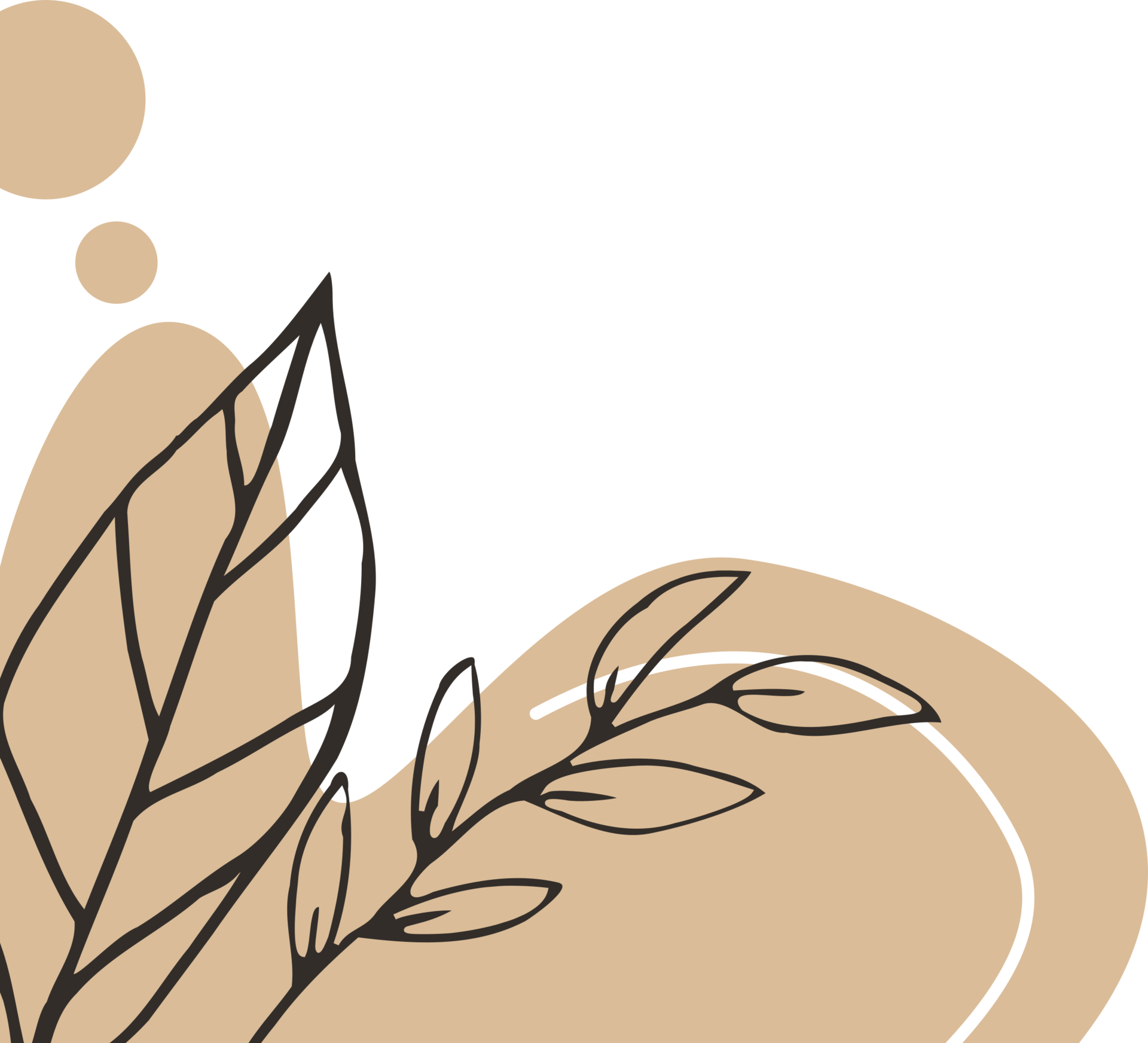 Hand drawn leaf line art with aesthetic shape or aesthetic blob simple