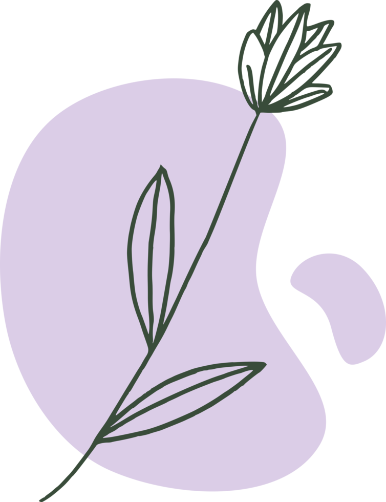 Hand drawn leaf line art with aesthetic shape or aesthetic blob simple decoration png
