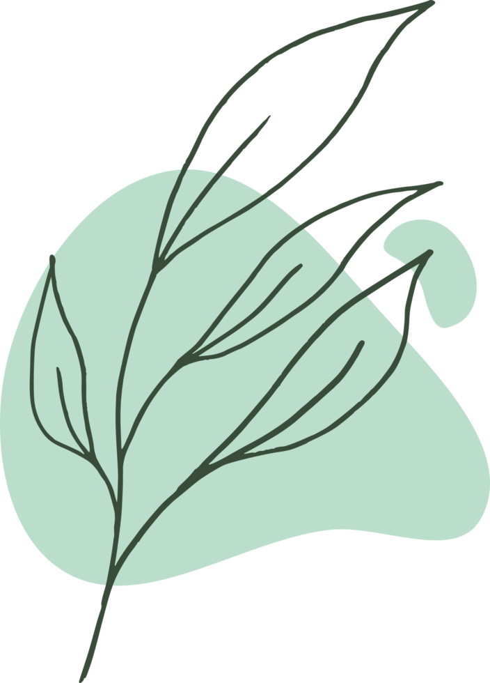 Hand drawn leaf line art with aesthetic shape or aesthetic blob simple decoration png