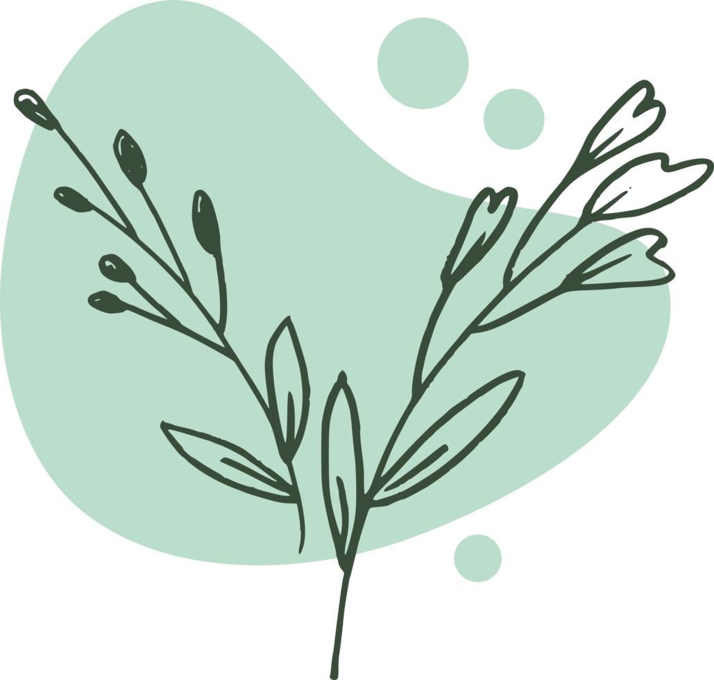 Hand drawn leaf line art with aesthetic shape or aesthetic blob simple decoration png