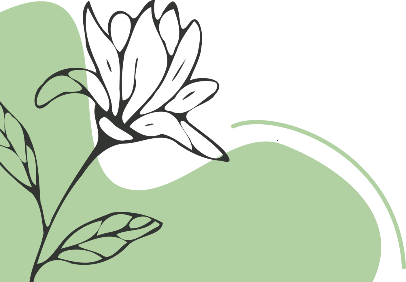 Hand drawn leaf line art with aesthetic shape or aesthetic blob simple decoration png