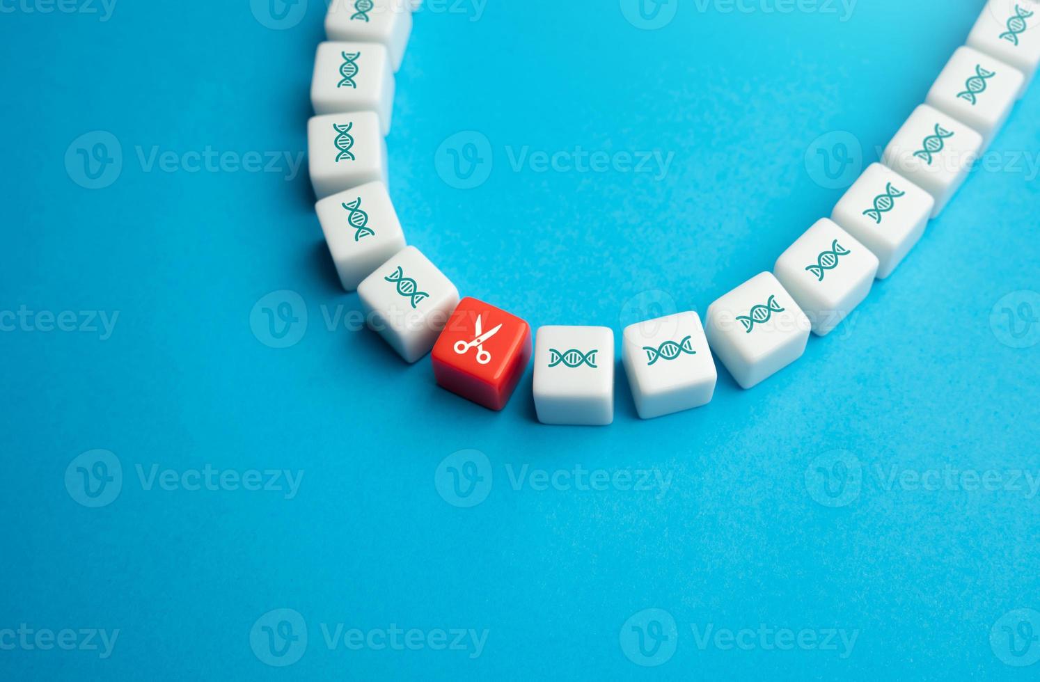 DNA chain and scissors. Editing genome. DNA modification. Gene therapy. Development of vaccines and synthesis of substances on GMO bacterial farms. Breeding of new varieties and crops of plants. photo