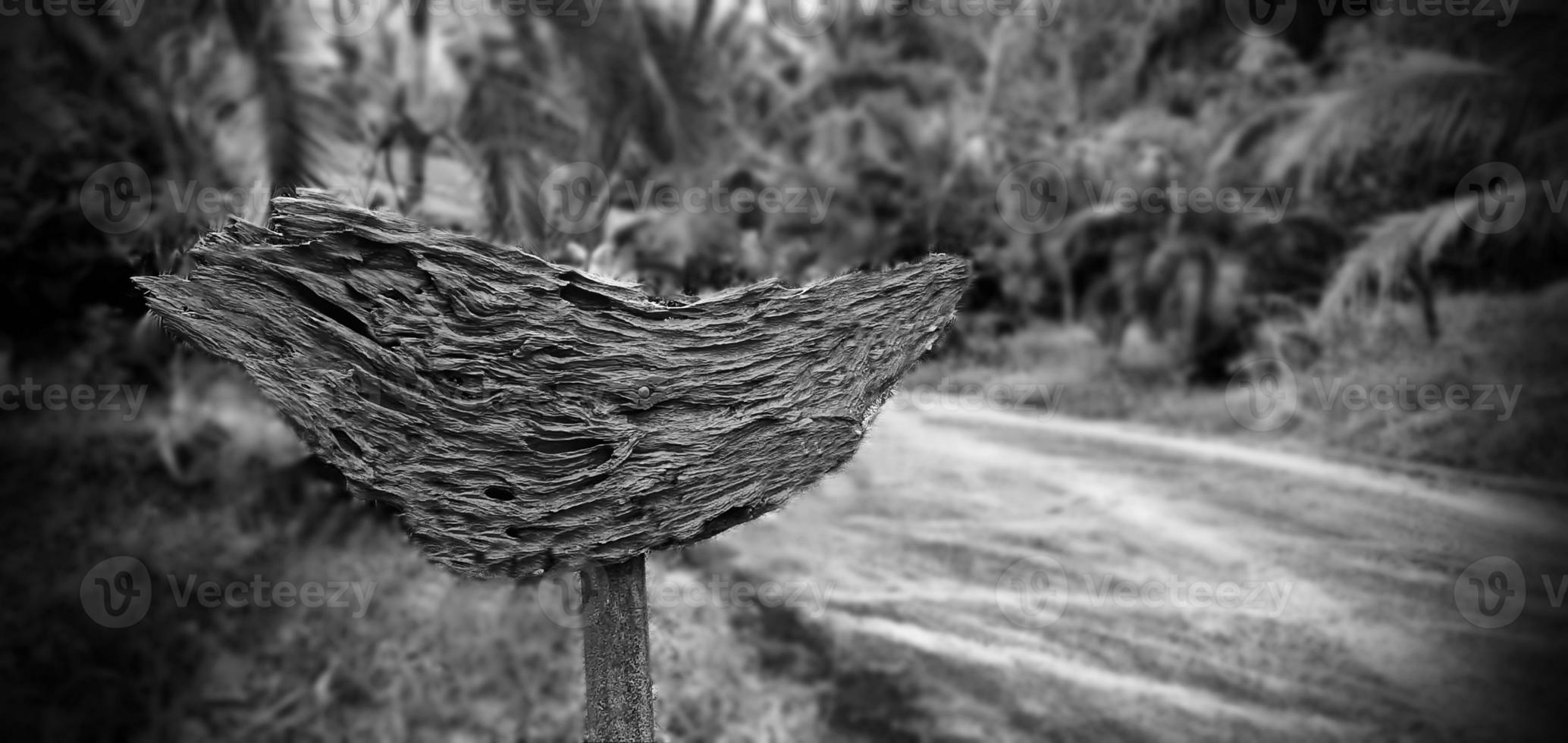 black and white writing on wooden board frame retro landscapes of nature in the countryside, with blurred background style art concept. photo