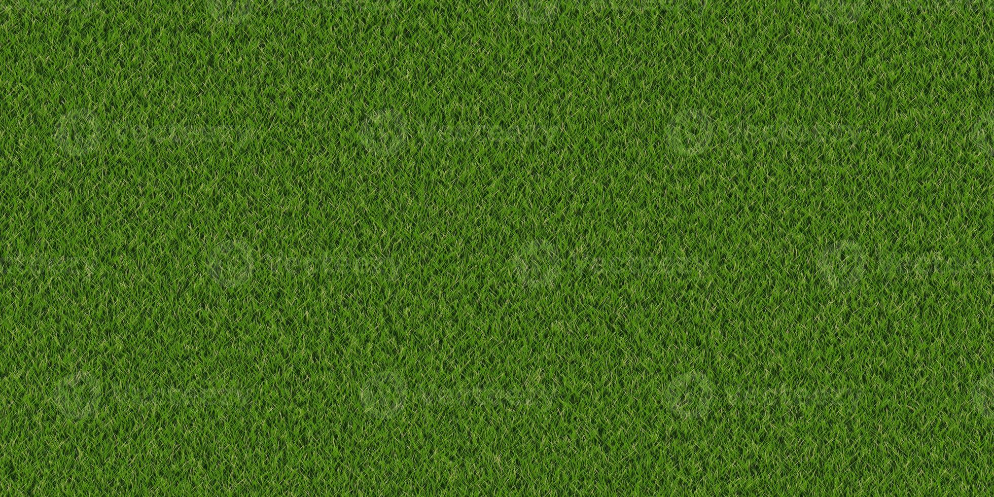 Dense lush park lawn pattern. Textured meadow backdrop. Grass texture. Field background. photo