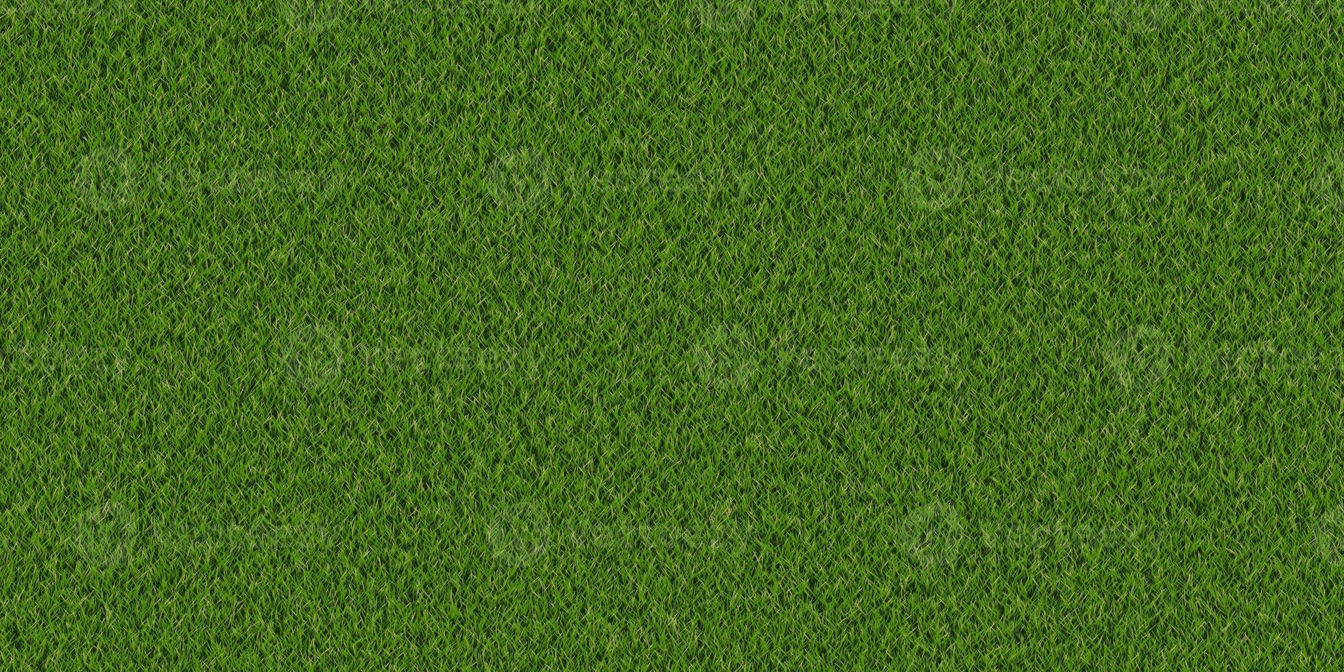 Dense lush park lawn pattern. Textured meadow backdrop. Grass texture. Field background. photo