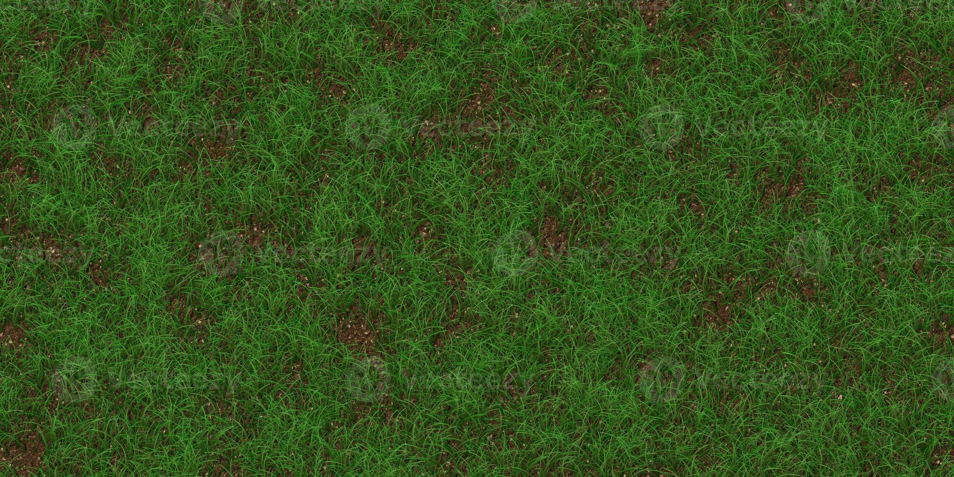 Rare textured meadow backdrop. Grass texture. Field background. Park lawn pattern. photo