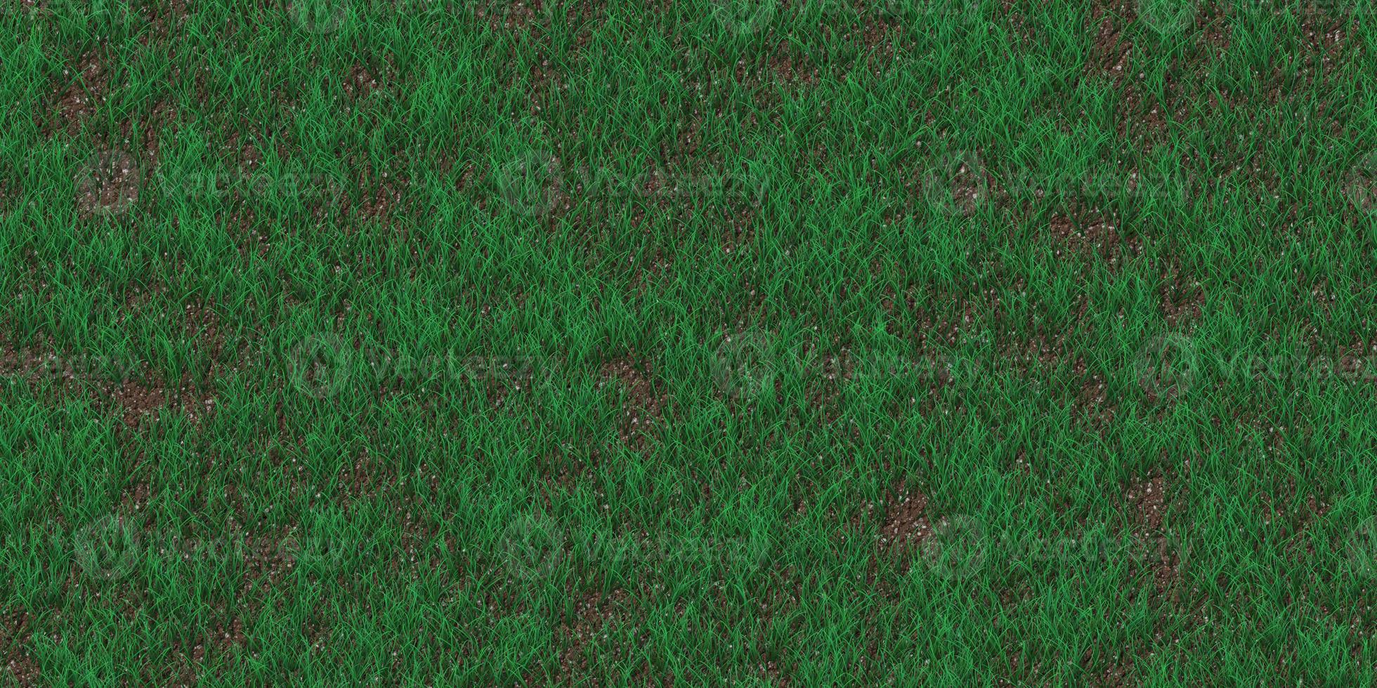 Rare grass texture. Field background. Park lawn pattern. Textured meadow backdrop. photo