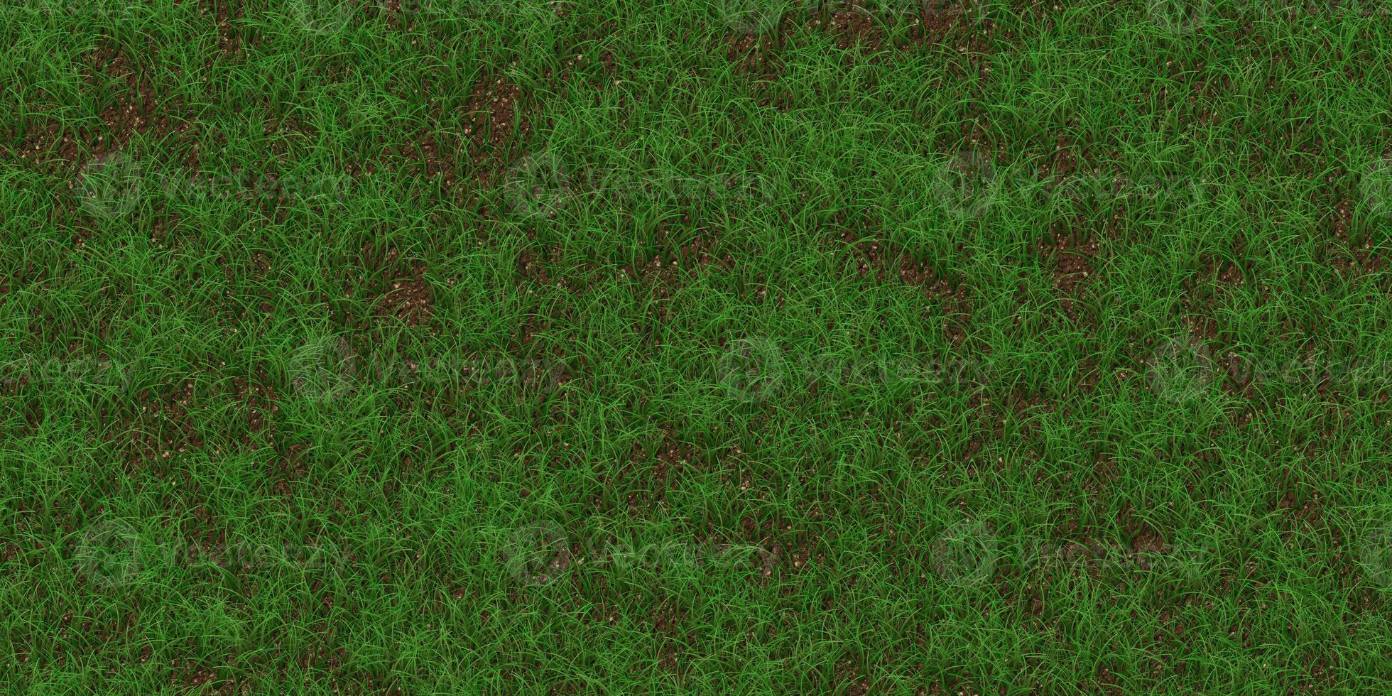 Rare grass texture. Field background. Park lawn pattern. Textured meadow backdrop. photo