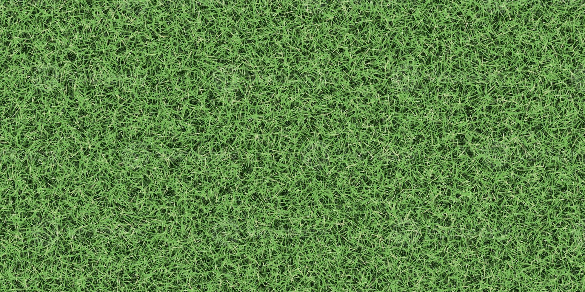 Dense lush textured meadow backdrop. Grass texture. Field background. Park lawn pattern. photo